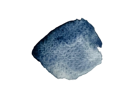 4464-head