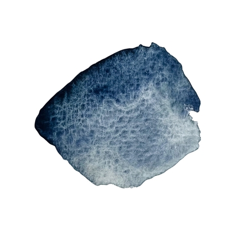 4464-head