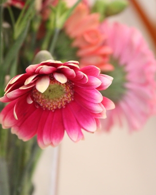 IMG 20241204 114533 705