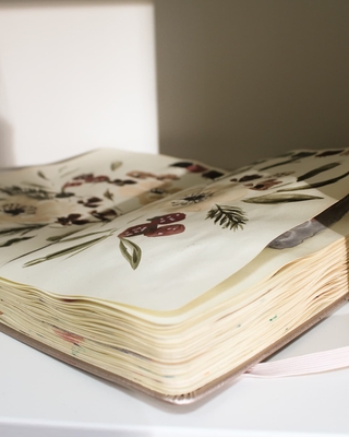 IMG 20241204 114533 961