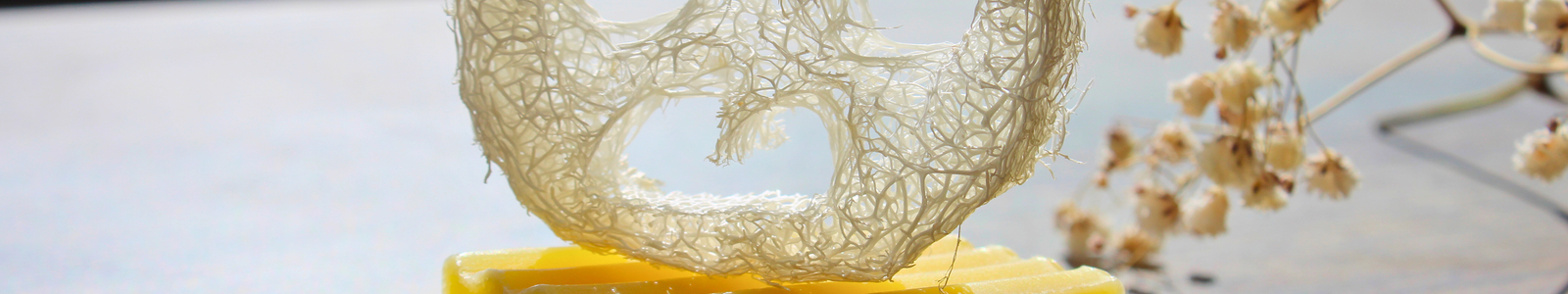 IMG 8391   bearbeitet